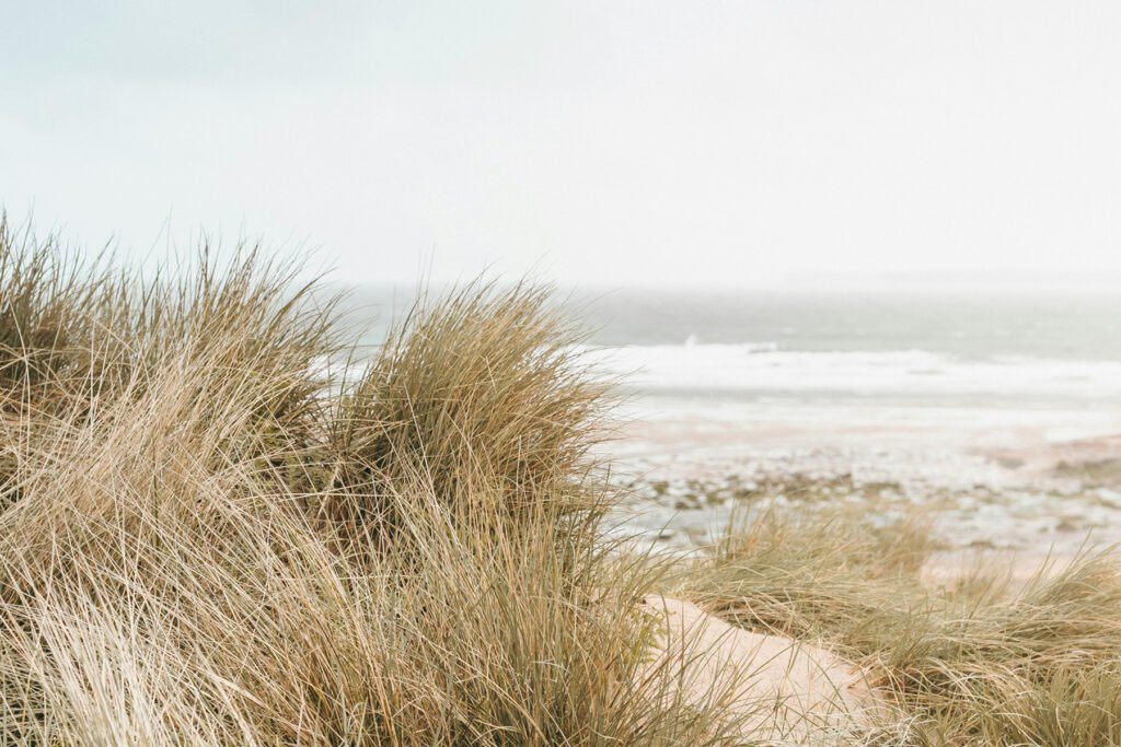 New Client Alert: Salt Yard